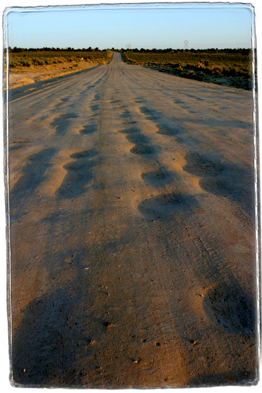 Bisti Road Bisti Badlands, NM � Dave Hickey